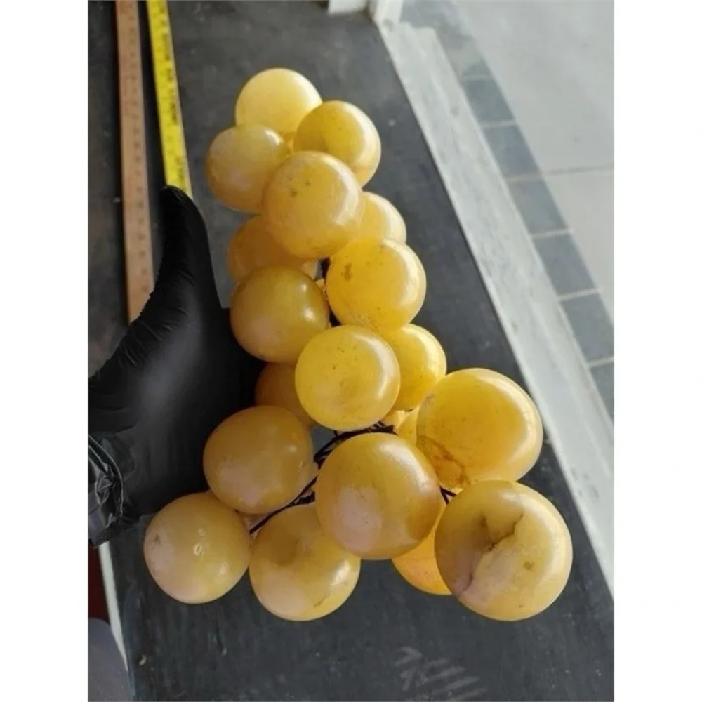 1960s alabaster stone grapes mcm mid century